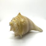 Hand blown Whelk Shell - Image 2